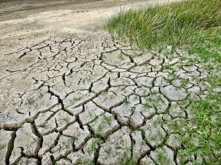 Drought-Dry-Climate-Change-Environment-Climate-2241061.jpg