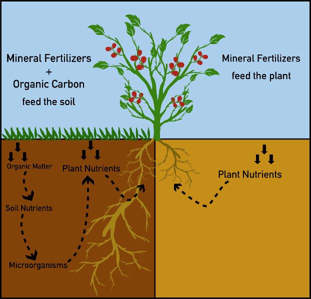 Low Organic Matter :: Soil Health