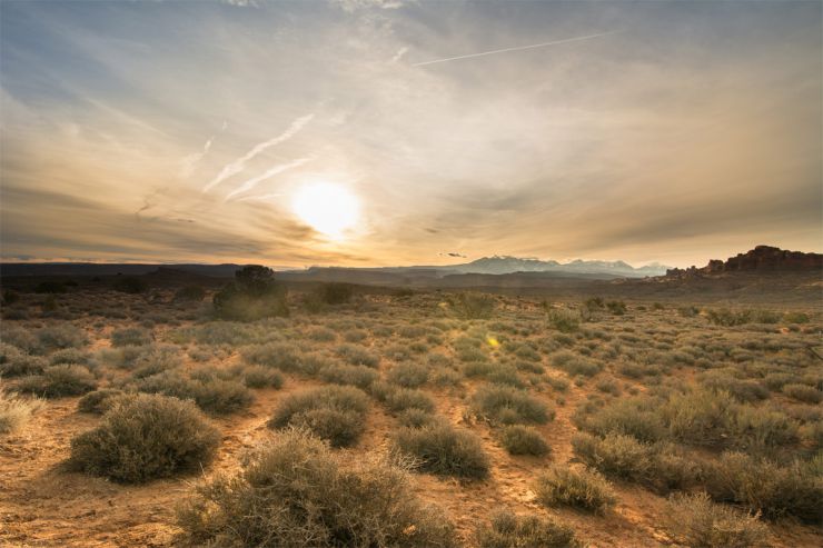 arid and desert soil