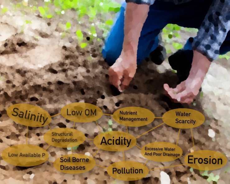Planting Seeds of Soil health.png