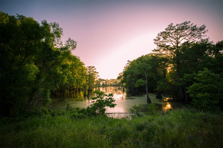 Humid Subtropical Climate